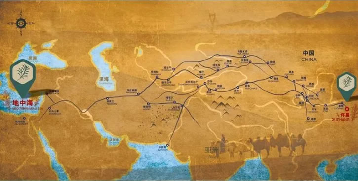 迷迭香竟然有这么多的好处！