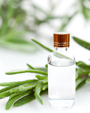 迷迭香纯露