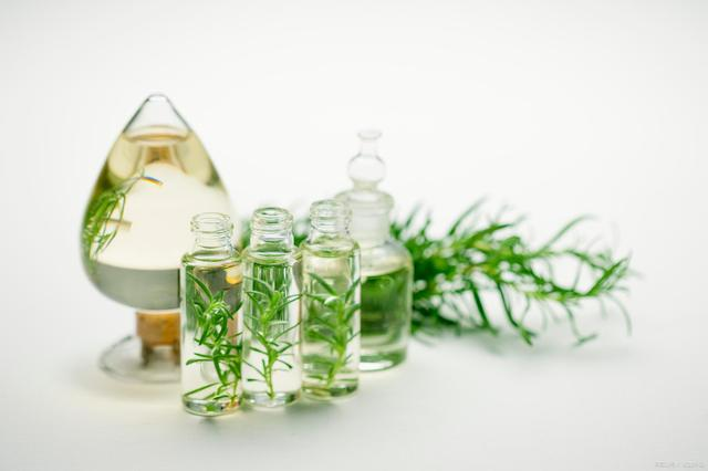 迷迭香纯露的提取与其功效